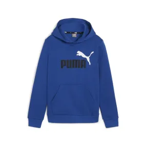 ESS+ 2 COL BIG LOGO HOODIE FL B