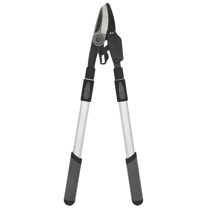 TALEN TOOLS TAKKENSCHAAR | TELESCOPISCH 71104CM | SQ11